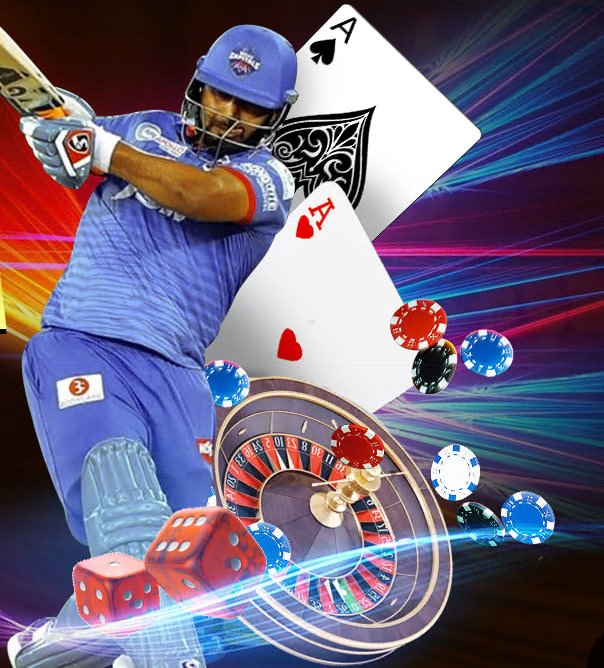 bdgd33